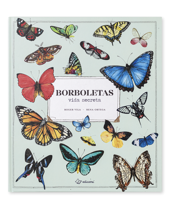 BORBOLETAS - VIDA SECRETA